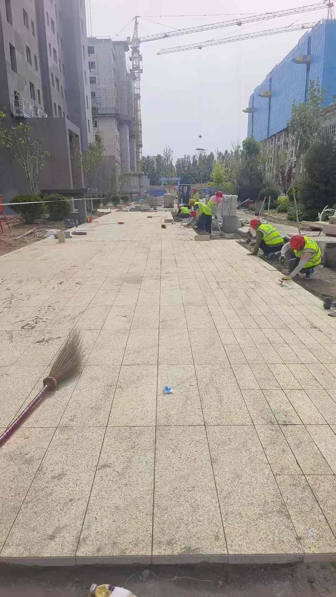 阜阳黄金麻荔枝面地铺案例