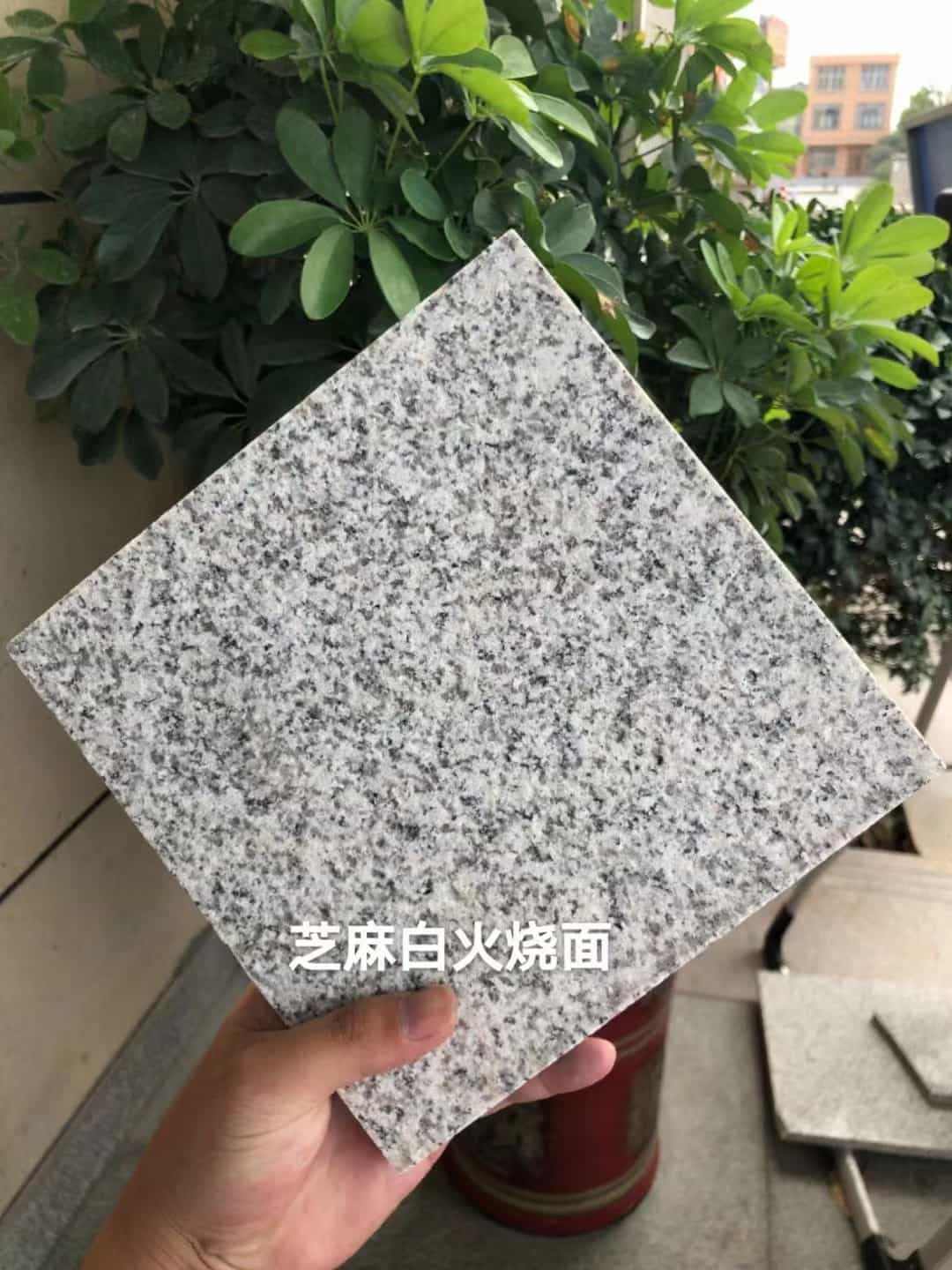 阜阳芝麻白火烧面地铺