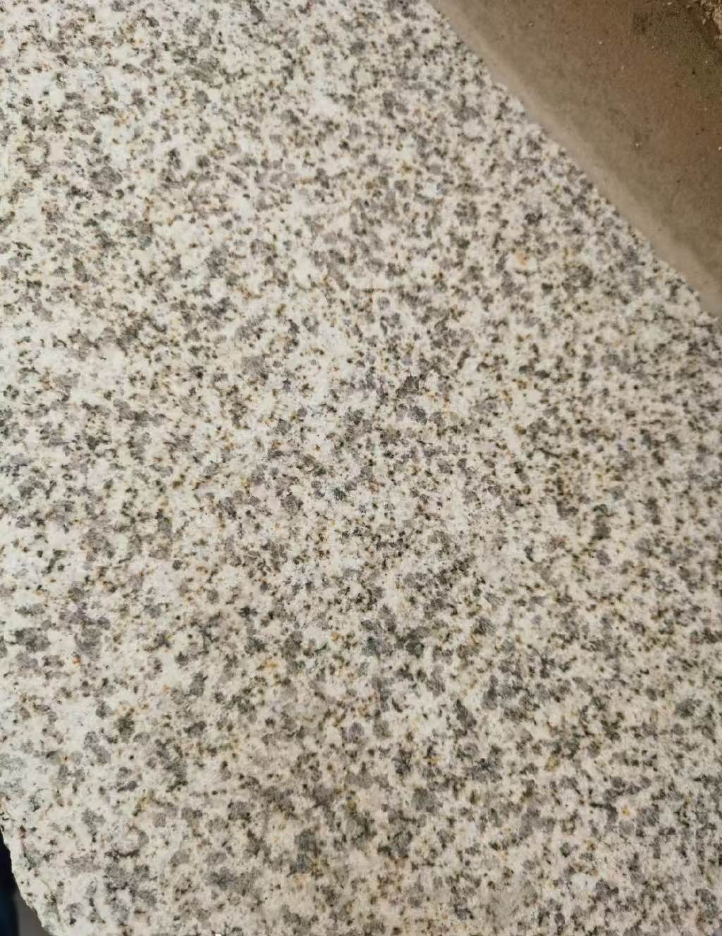 阜阳 黄金麻中黄光面