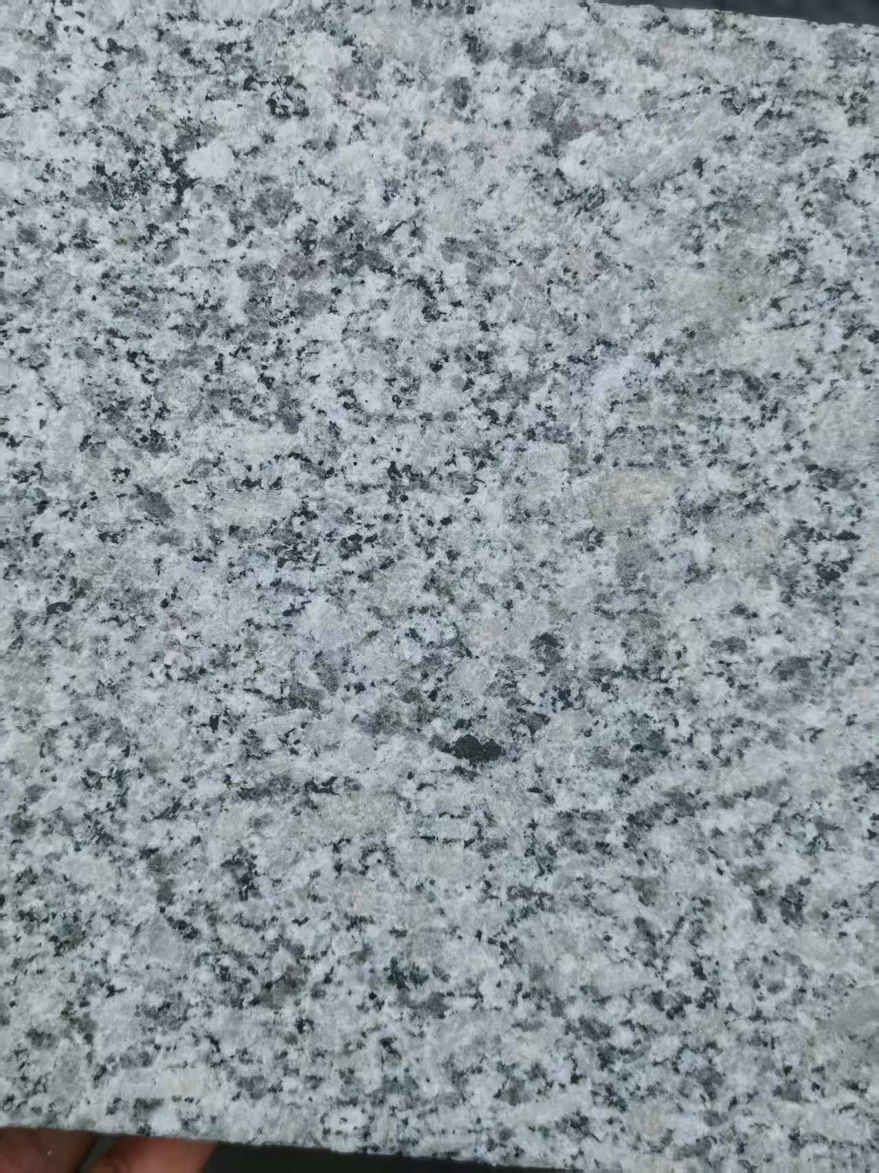 阜阳 芙蓉白火烧面